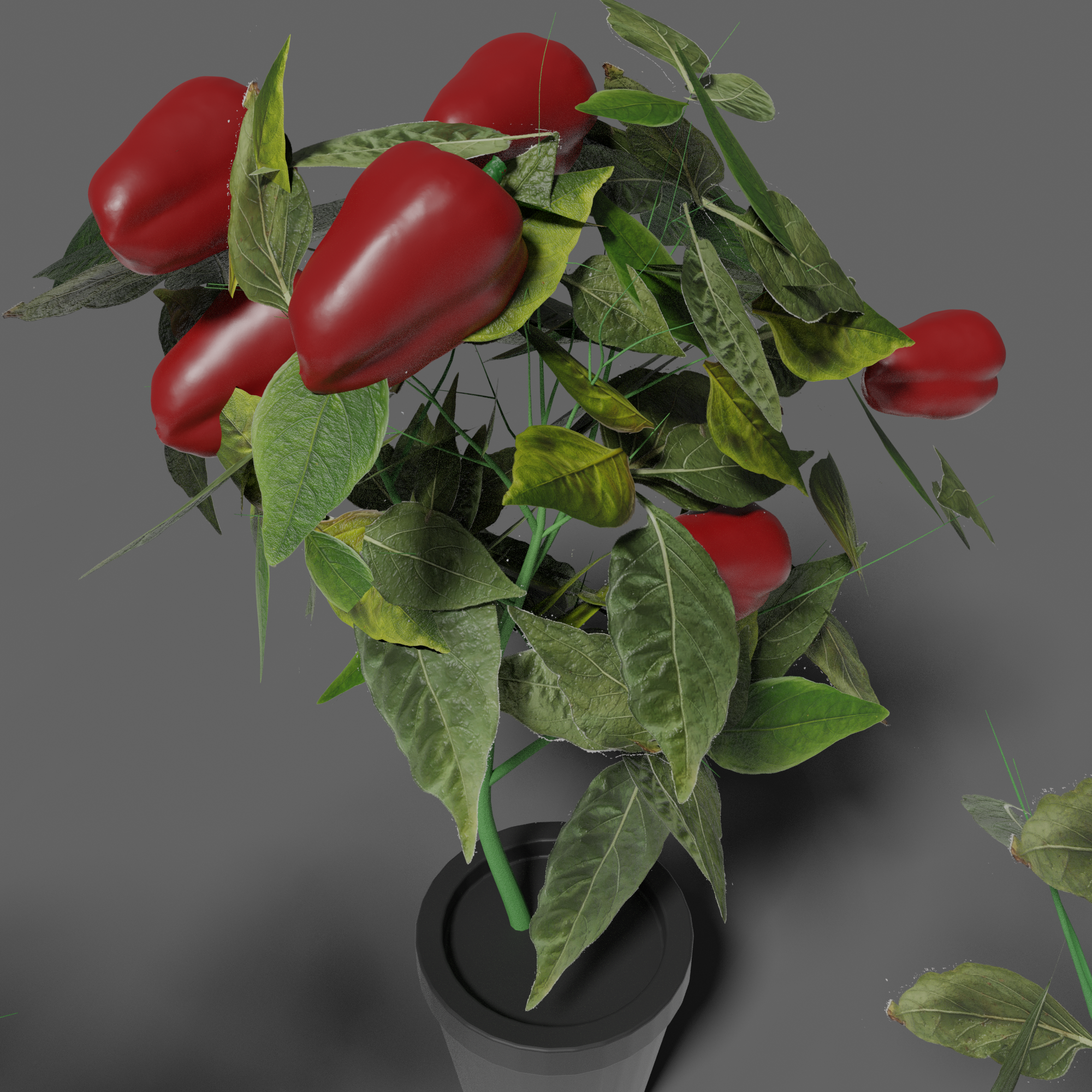 Synthetic pepper dataset generator preview image 1